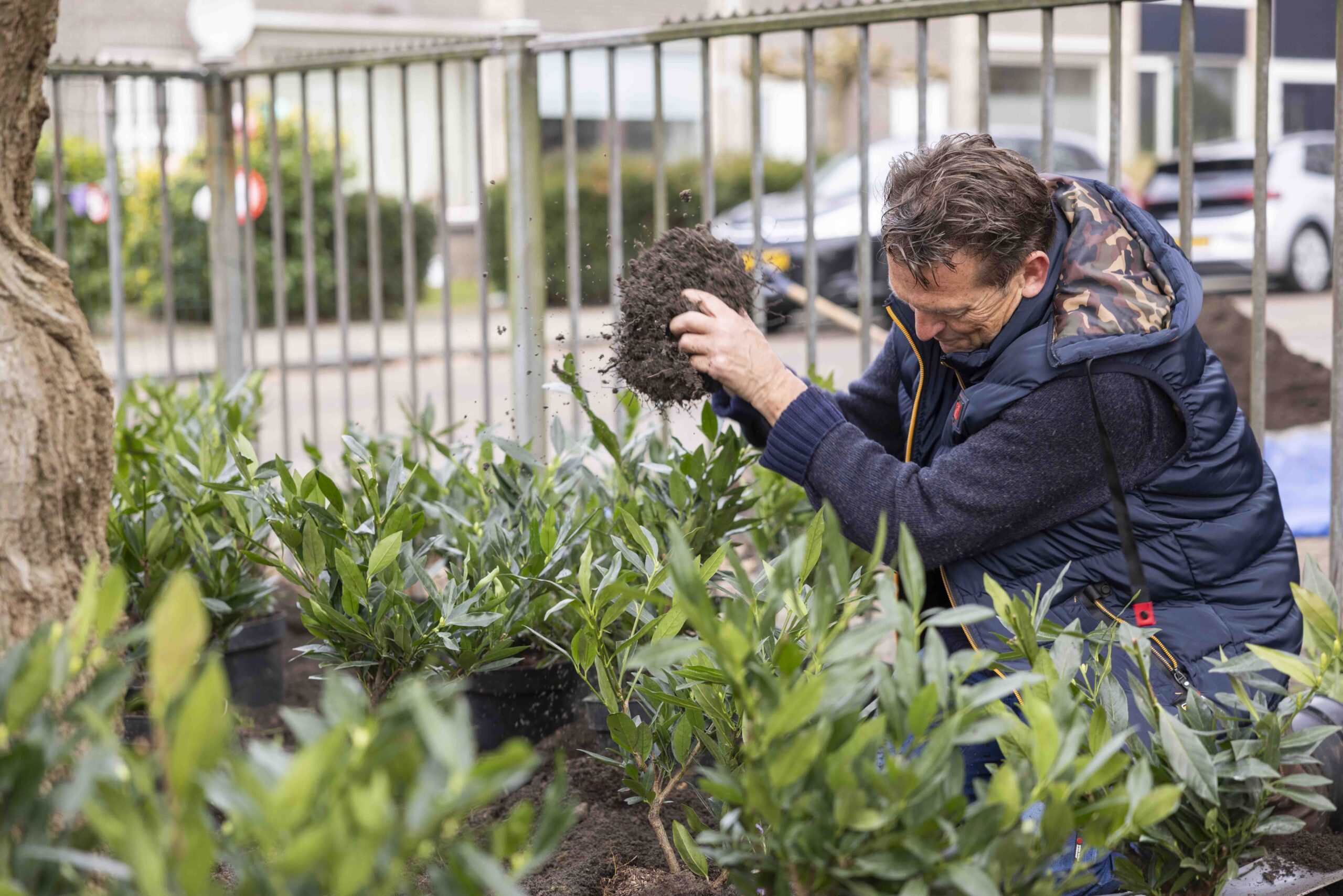 Samen Breda vergroenen
